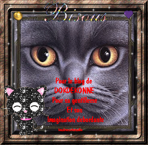  CADEAU POUR DOKDEKONNE DE CHEZ BLOGUEZ.COM  par tendresseeternelle