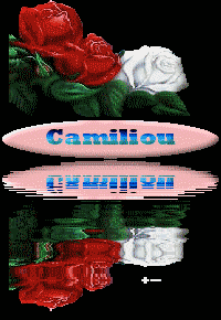 CREATIONS GRANDS FORMATS